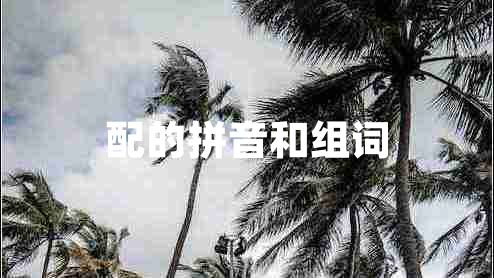 配的拼音和组词