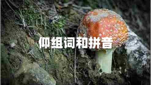 仰组词和拼音