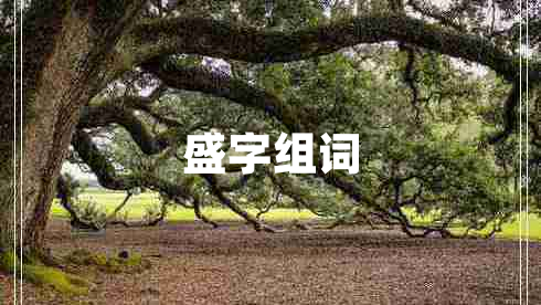 盛字组词