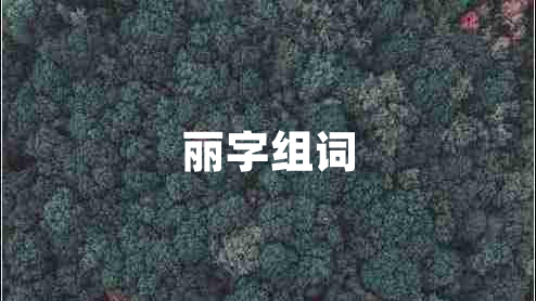 丽字组词