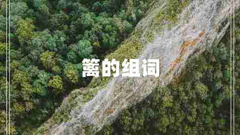 篱的组词