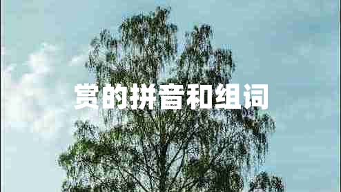 赏的拼音和组词 赏的拼音和组词