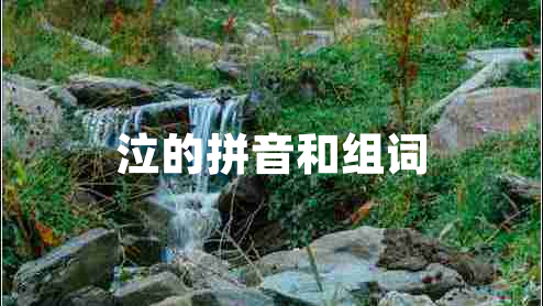 泣的拼音和组词 泣的拼音和组词