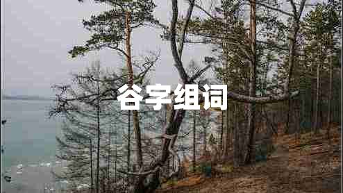 谷字组词 谷字组词