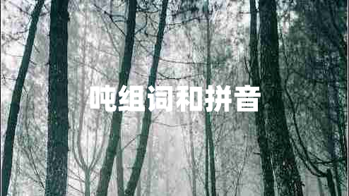 吨组词和拼音