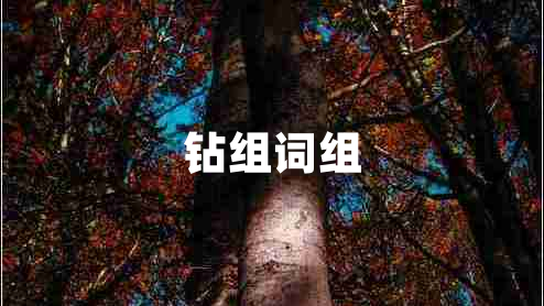 钻组词组