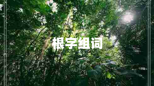 根字组词
