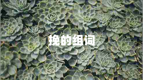 挽的组词