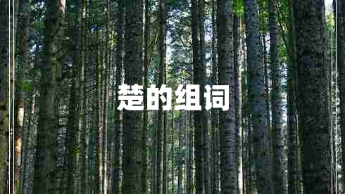 楚的组词