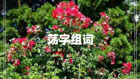 荡字组词