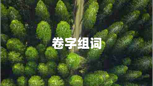 卷字组词