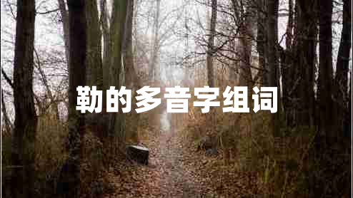 勒的多音字组词