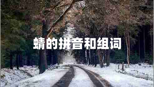 蜻的拼音和组词