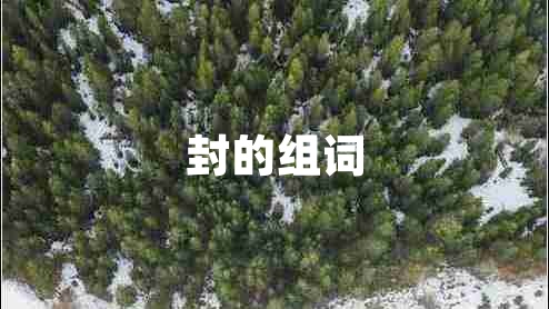 封的组词