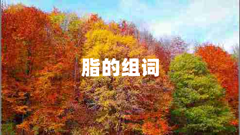 脂的组词