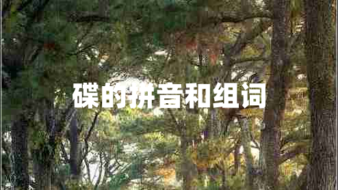 碟的拼音和组词