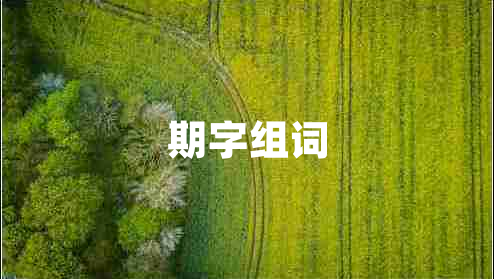 期字组词