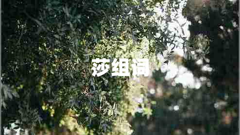 莎组词
