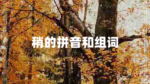 稍的拼音和组词