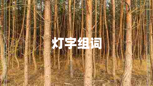 灯字组词