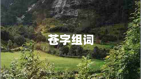 苍字组词