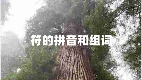 符的拼音和组词 符的拼音和组词