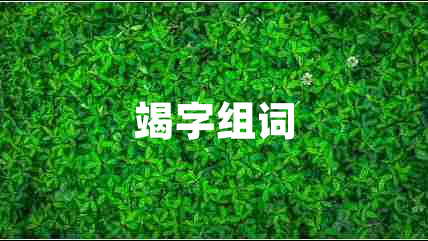 竭字组词