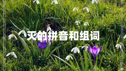 灭的拼音和组词