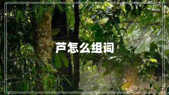 芦怎么组词