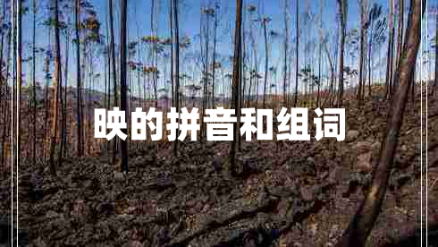 映的拼音和组词