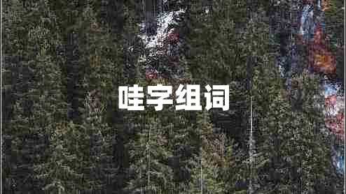 哇字组词