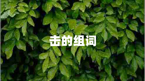 击的组词