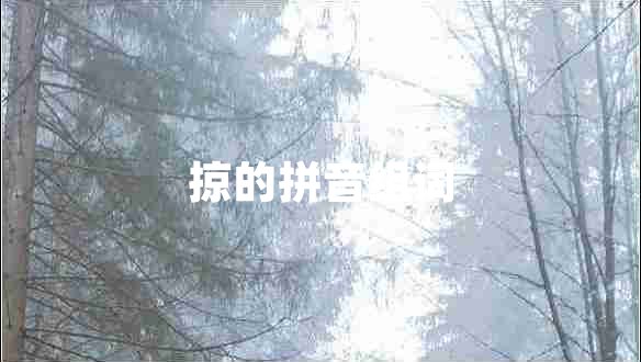 掠的拼音组词