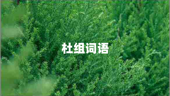 杜组词语