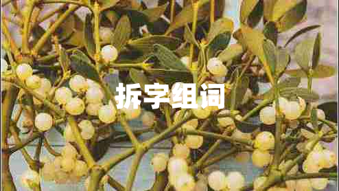 拆字组词