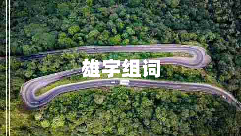 雄字组词