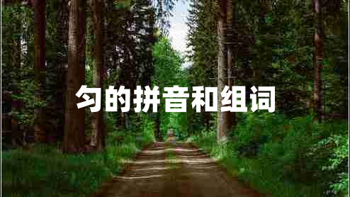 匀的拼音和组词