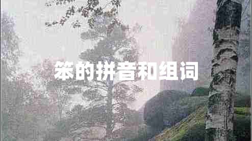 笨的拼音和组词