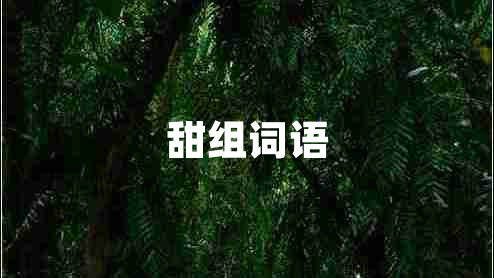 甜组词语