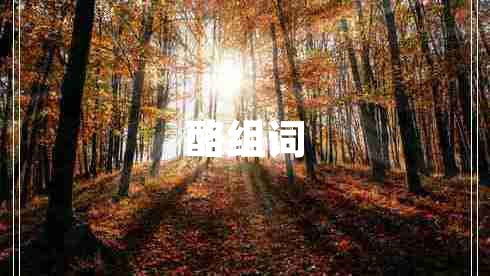 酪组词