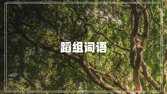 蹈组词语