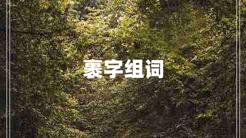 裹字组词