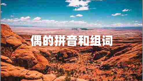 偶的拼音和组词