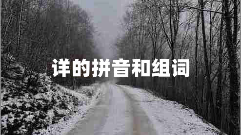 详的拼音和组词