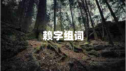赖字组词
