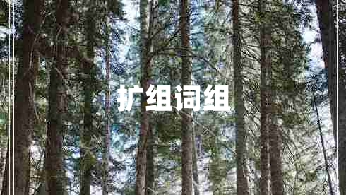 扩组词组