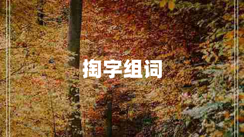 掏字组词