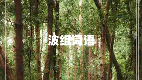 波组词语