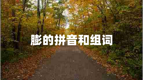 膨的拼音和组词