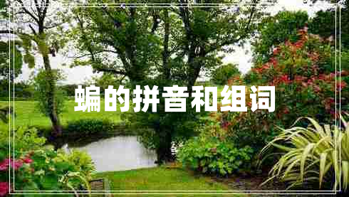 蝙的拼音和组词